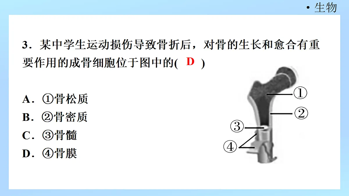18218904第5页