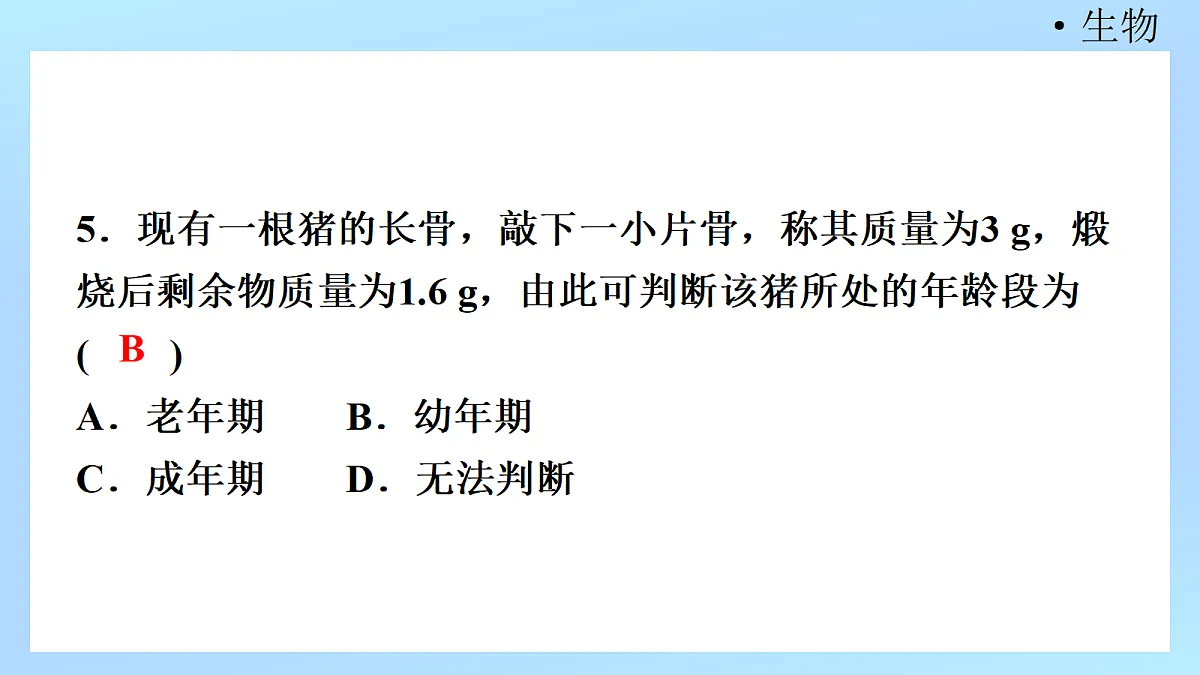 18218904第7页