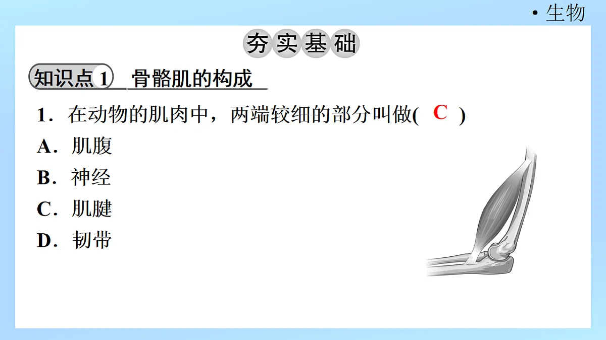18218905第3页