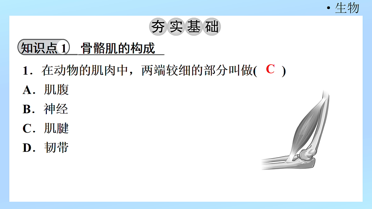 18218905第3页