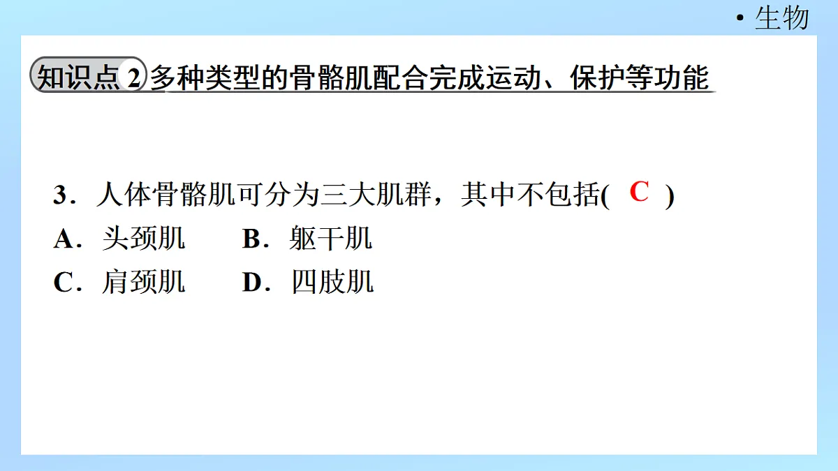 18218905第5页