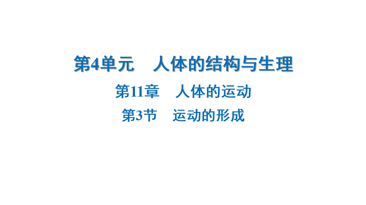 18218906第1页