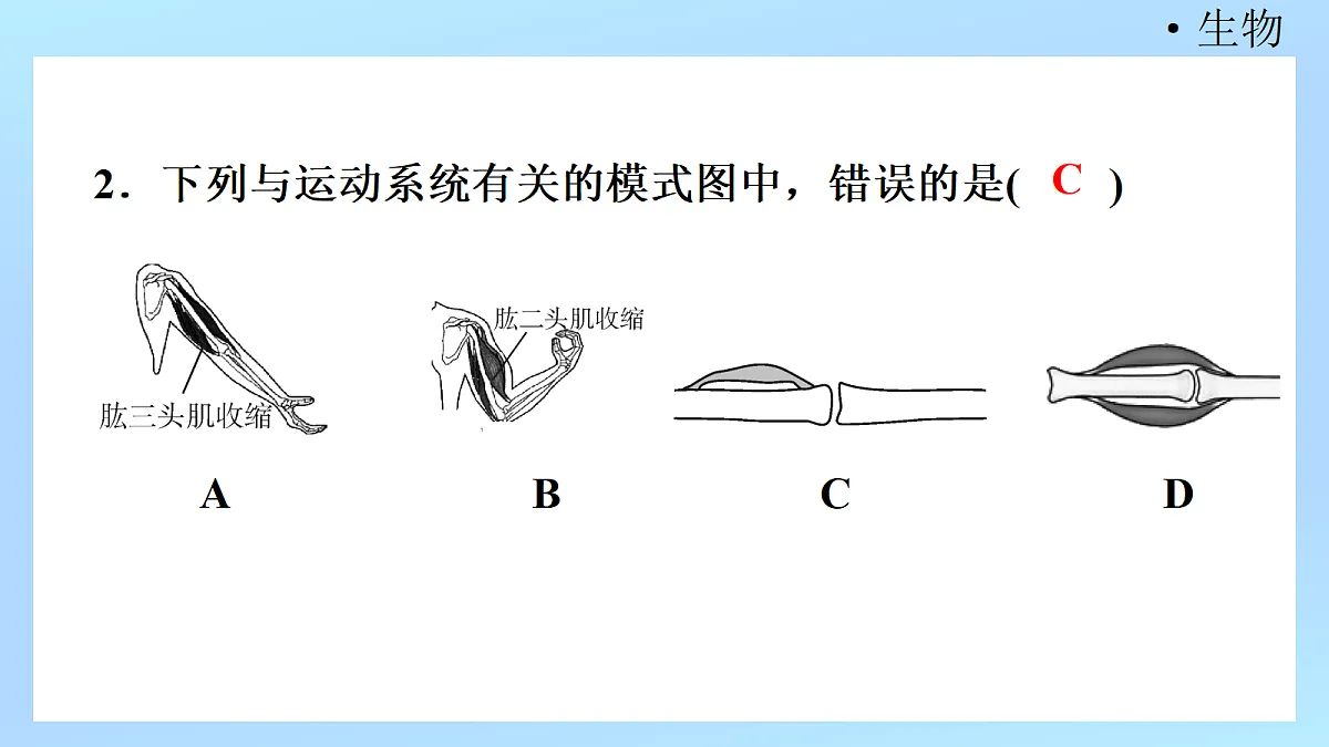 18218906第4页