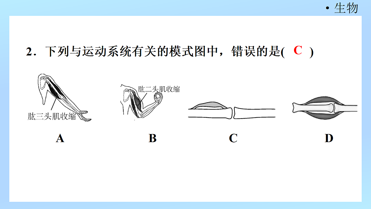 18218906第4页