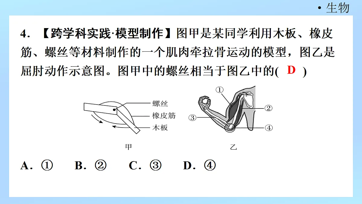 18218906第6页