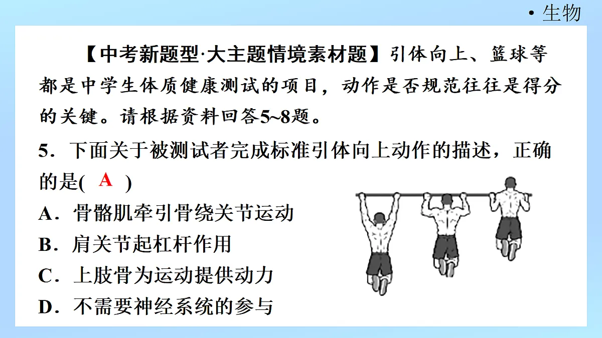 18218906第7页