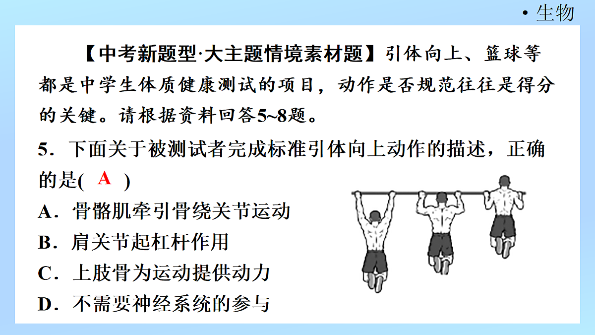 18218906第7页