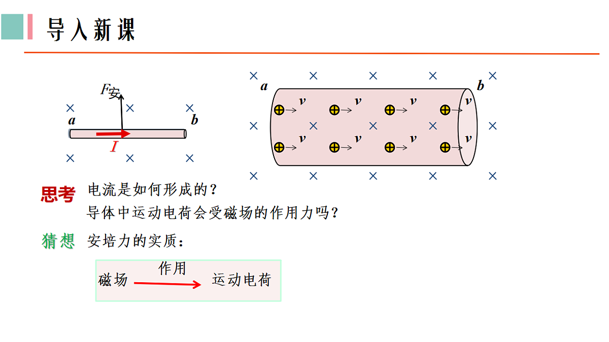 18219016第2页