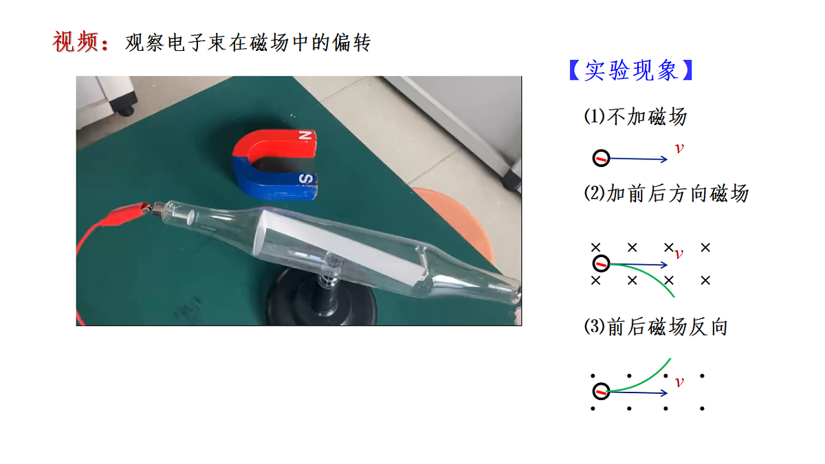 18219016第4页