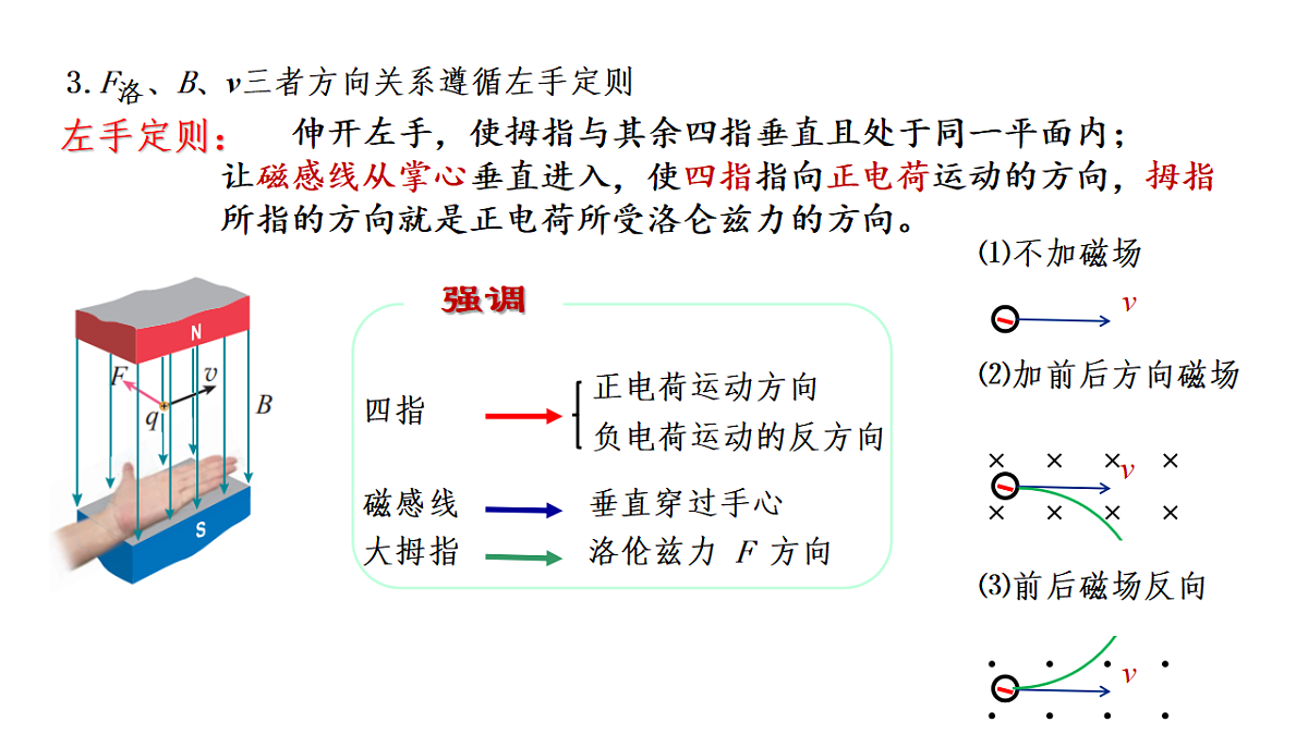 18219016第6页