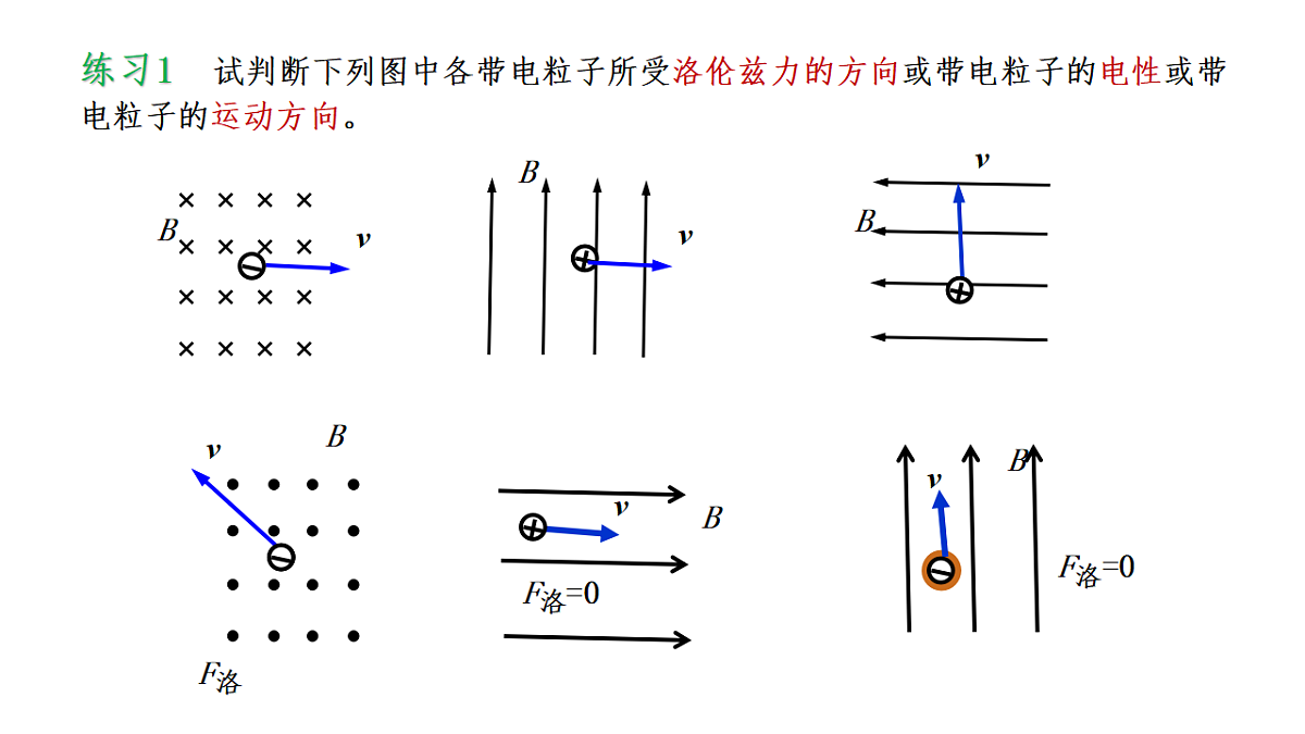 18219016第8页
