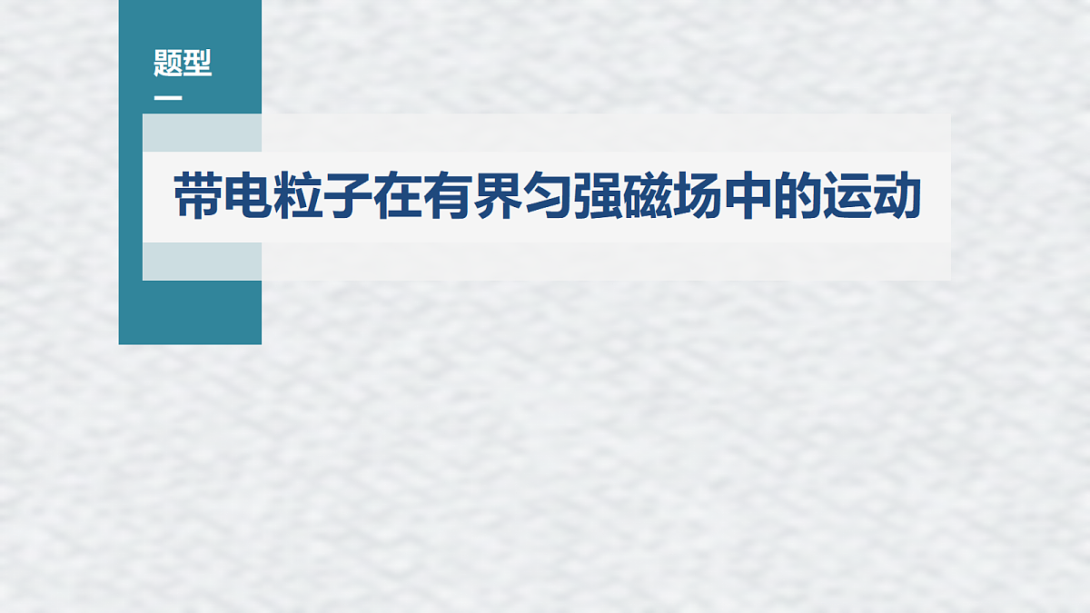 18219019第3页