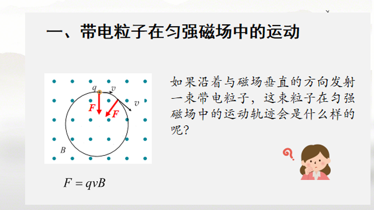 18219023第3页