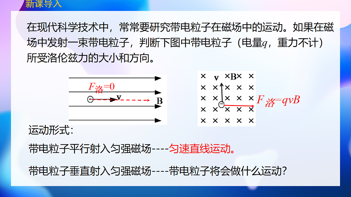 18219028第3页
