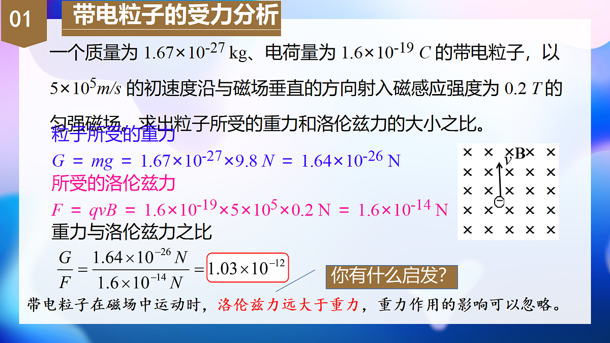 18219028第5页