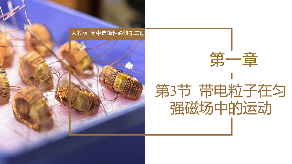 18219033第1页