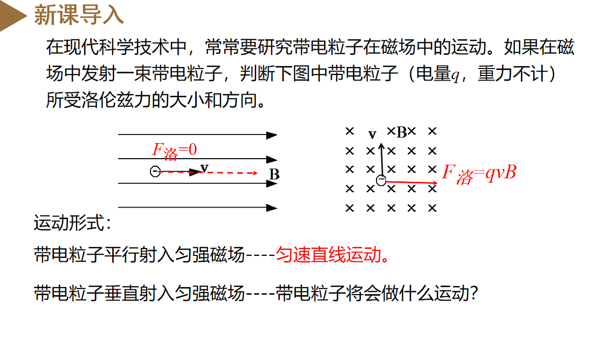 18219033第2页