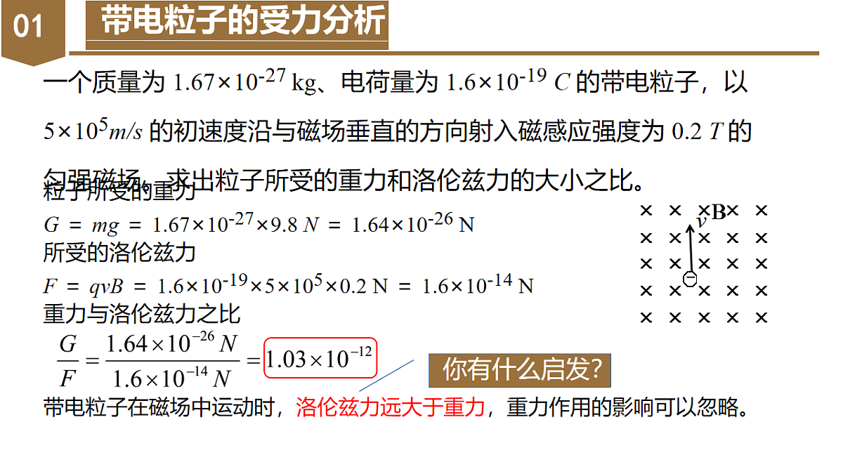 18219033第4页