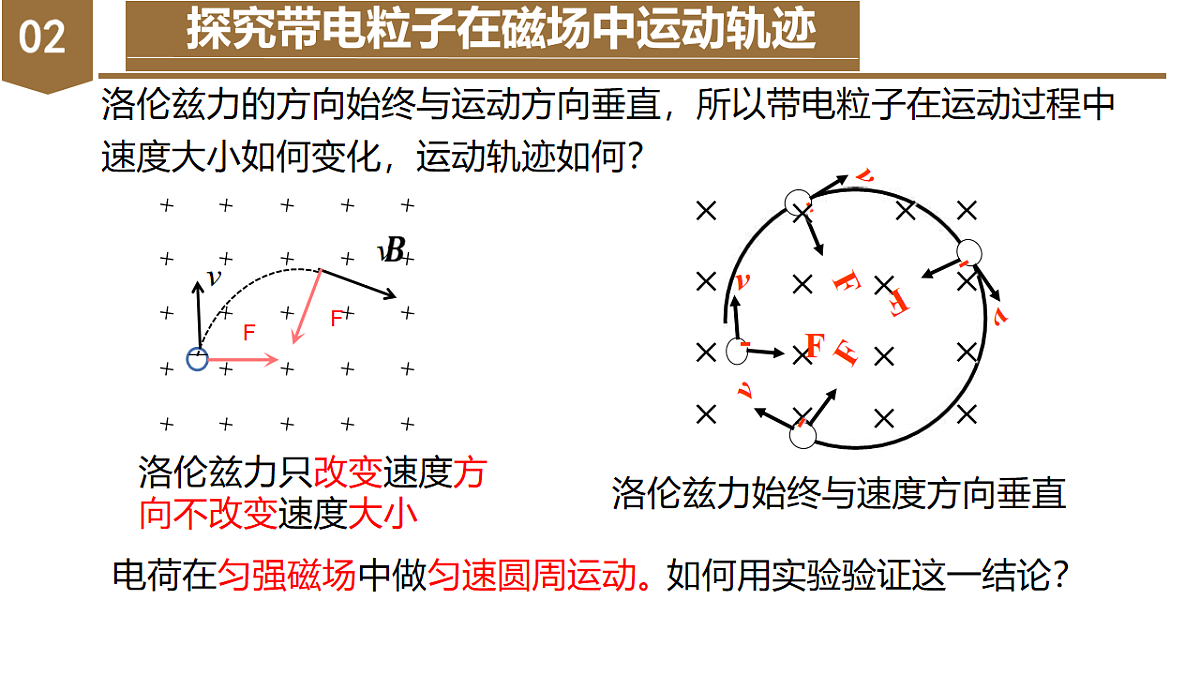 18219033第6页