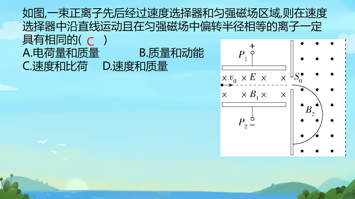 18219041第5页