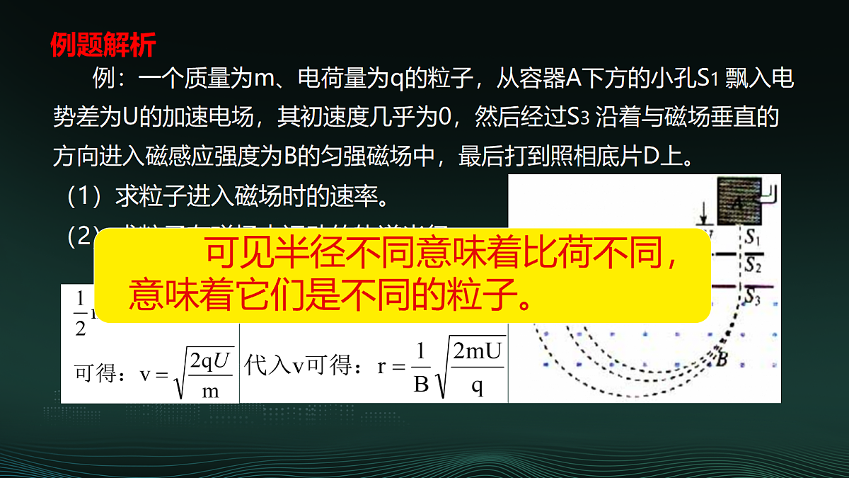 18219043第3页
