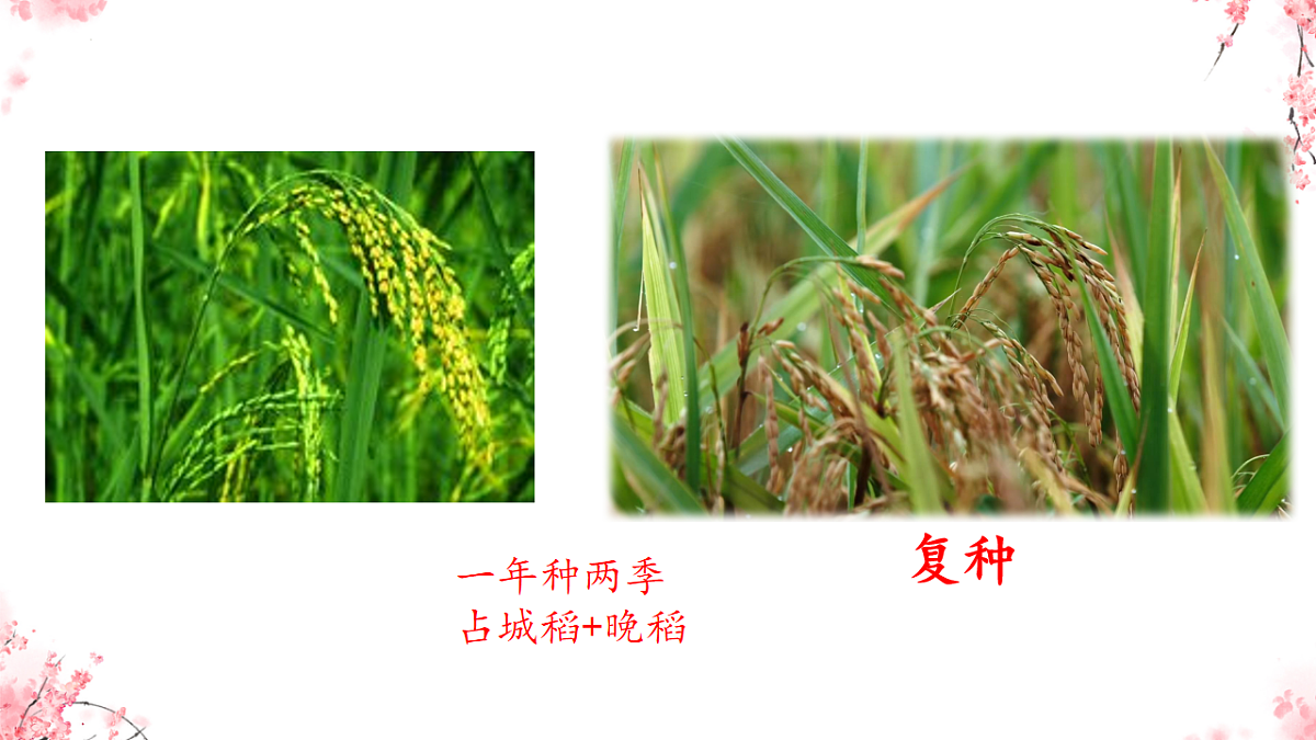 18219300第7页