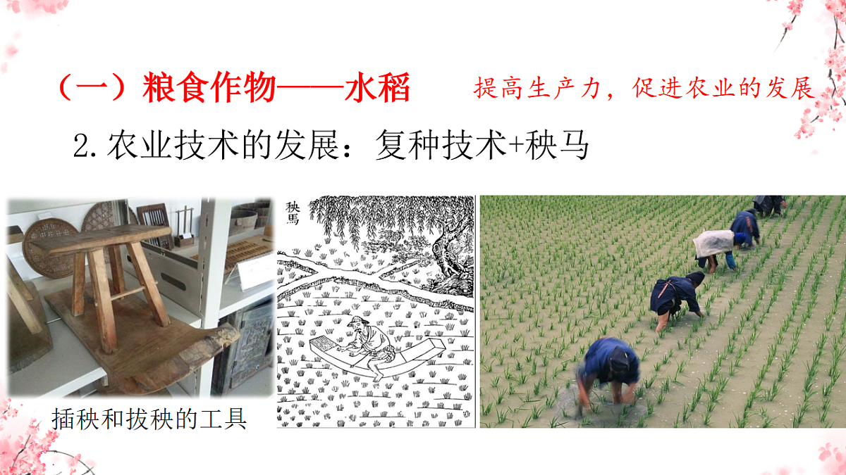 18219300第8页