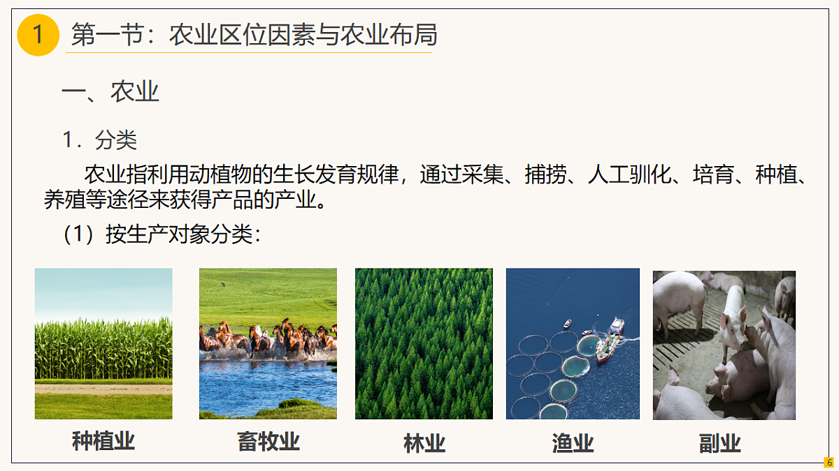18219382第6页