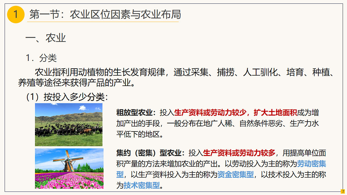 18219382第7页