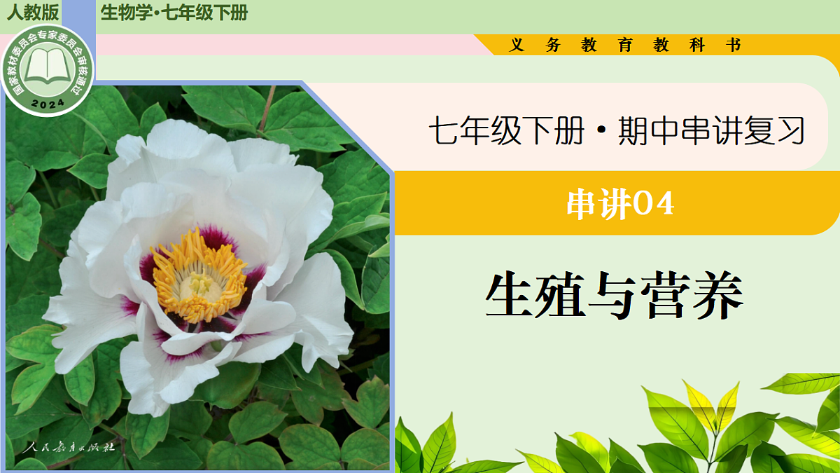 18219391第1页