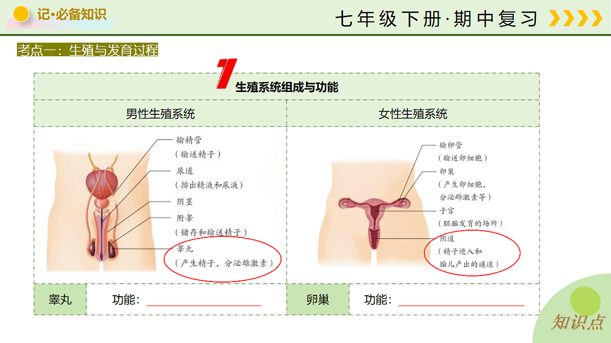 18219391第6页