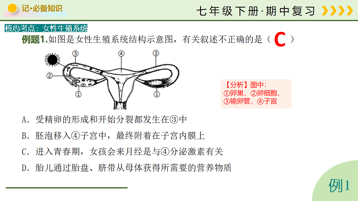18219391第7页