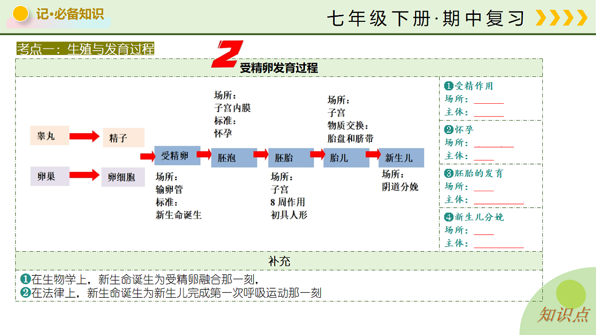 18219391第8页