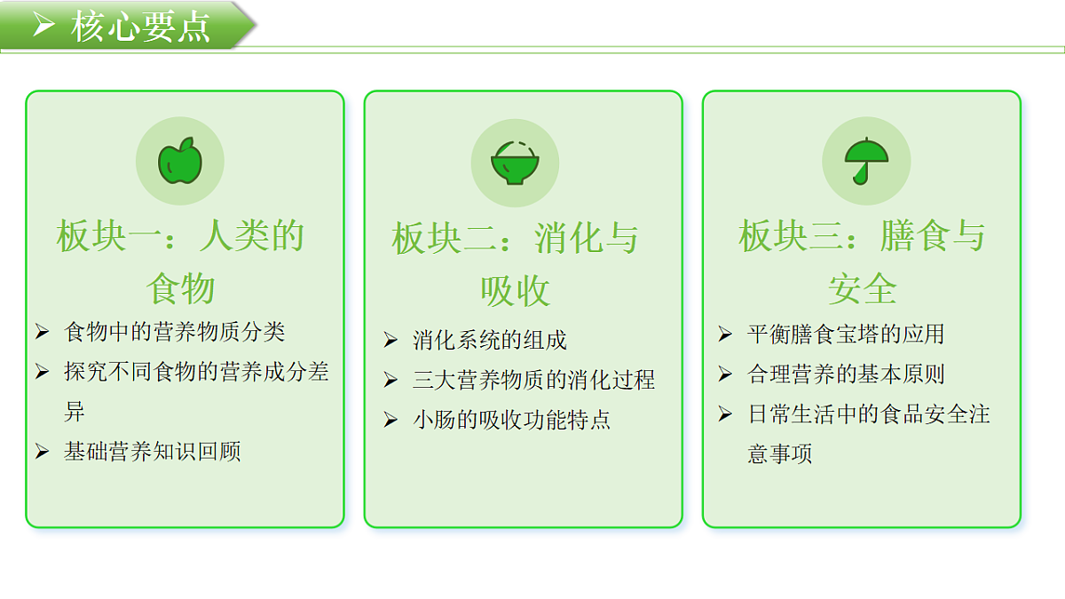 18219403第3页
