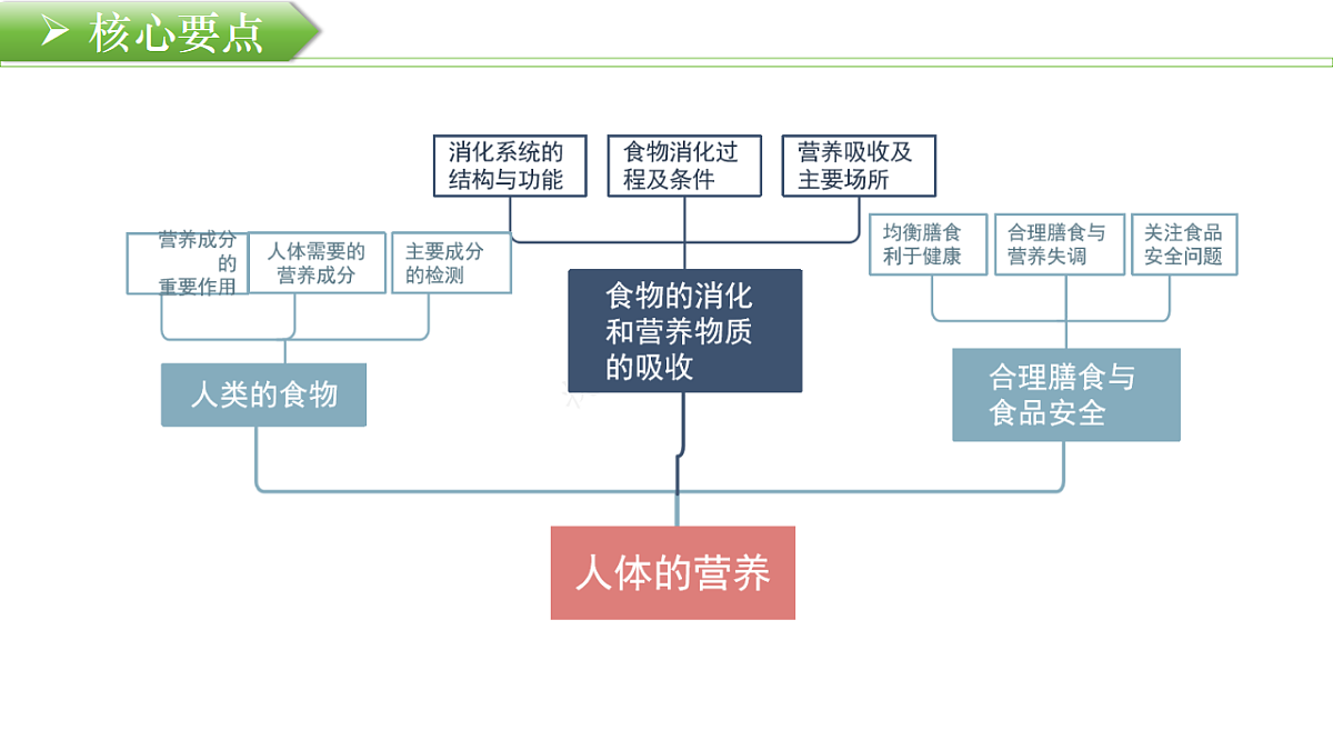 18219403第4页