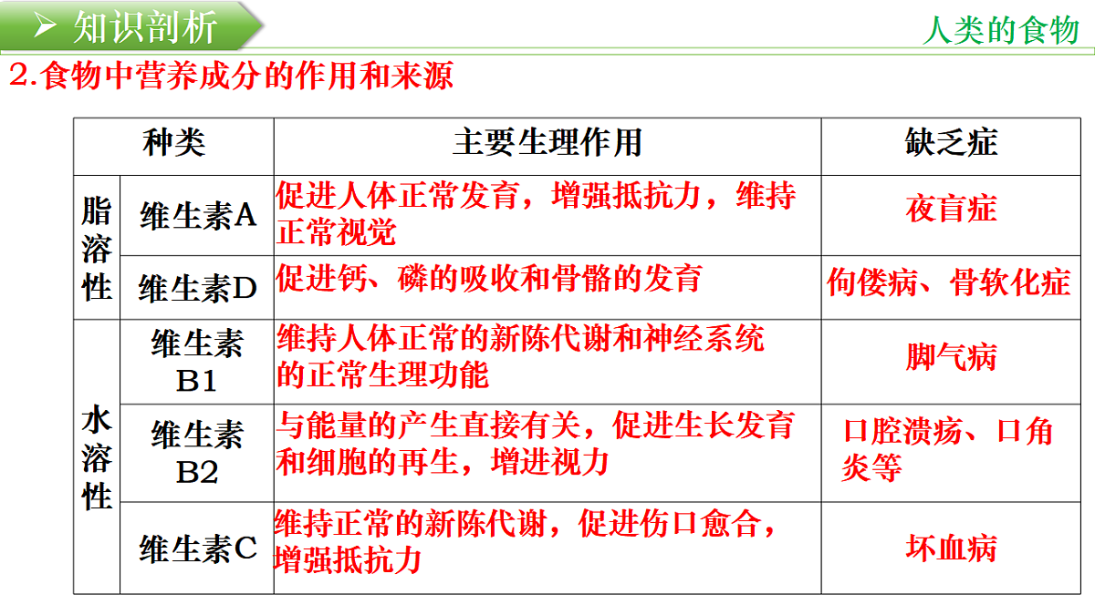 18219403第7页