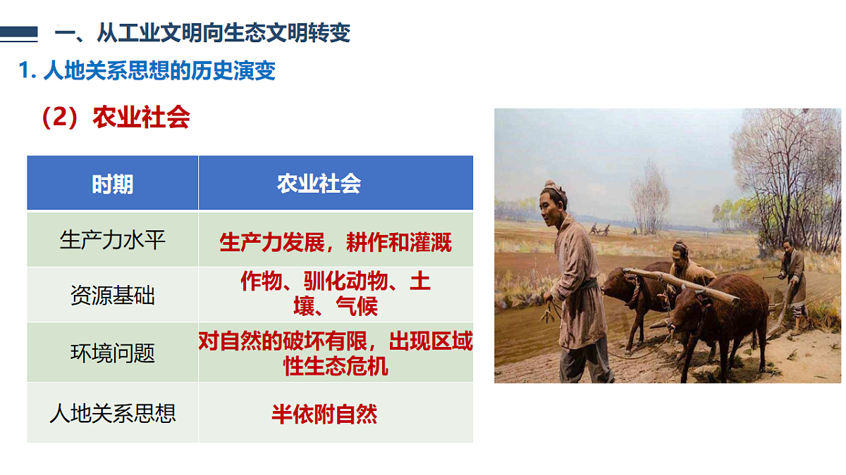 18219407第8页