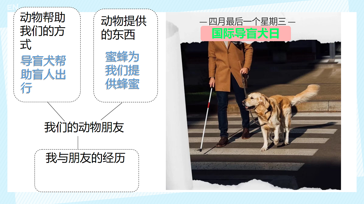 18219446第2页