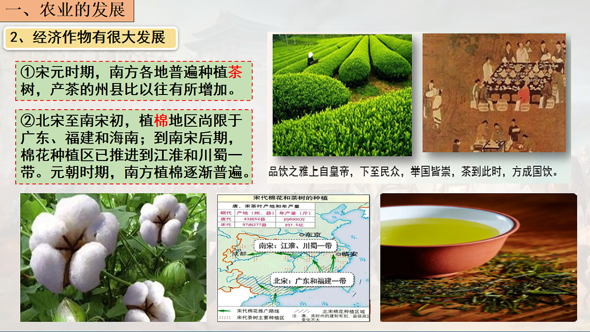 18219453第5页