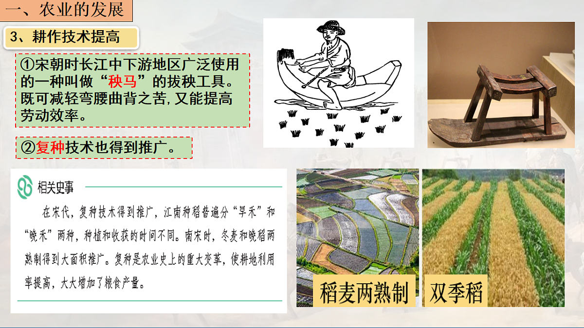 18219453第6页