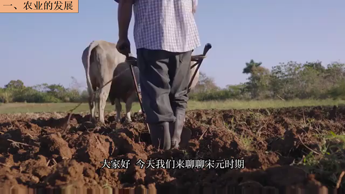 18219453第7页