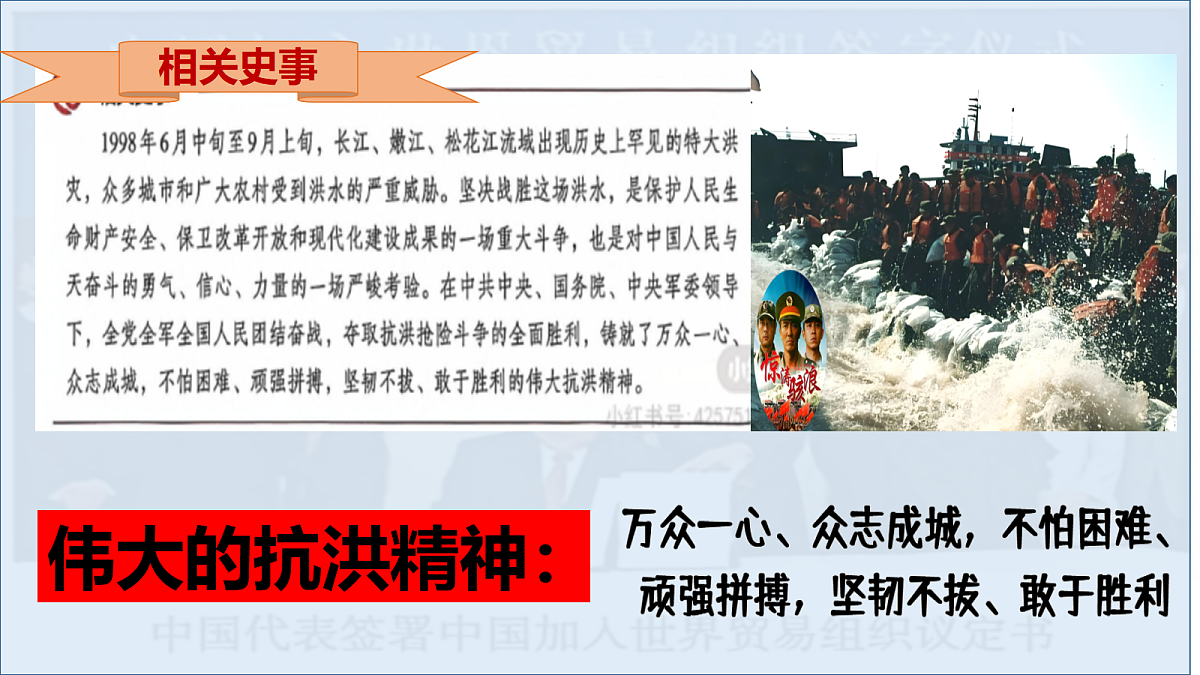 18219461第5页