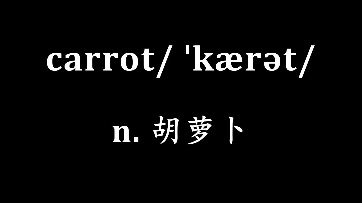 18219647第5页