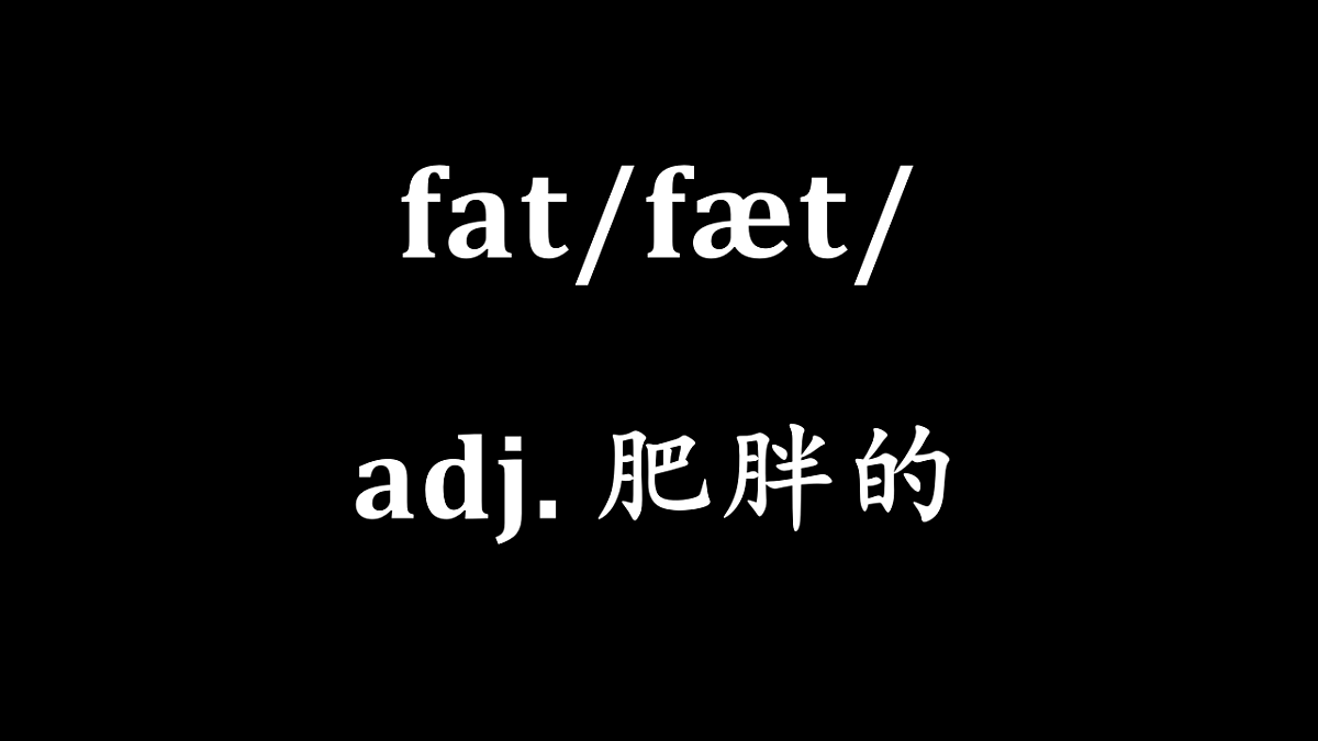 18219647第7页
