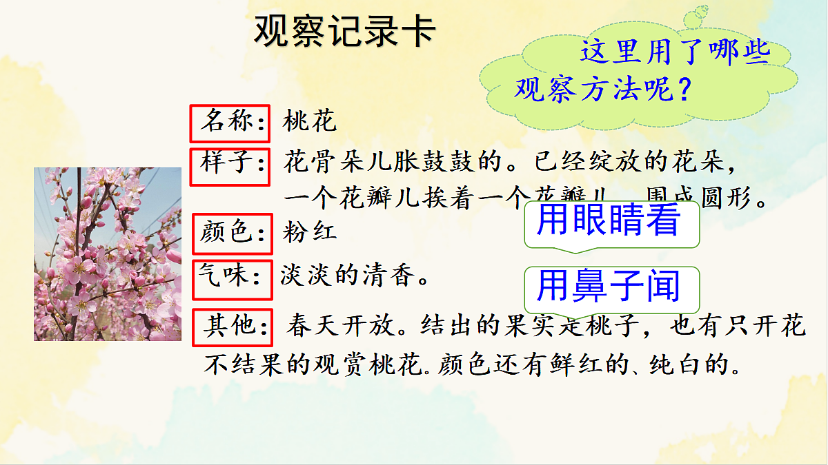 18221695第2页