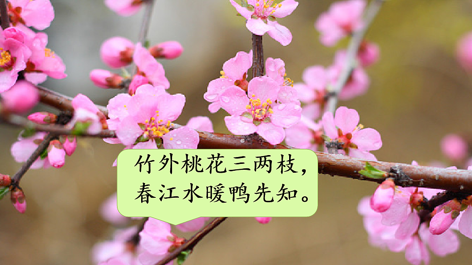 18221696第4页