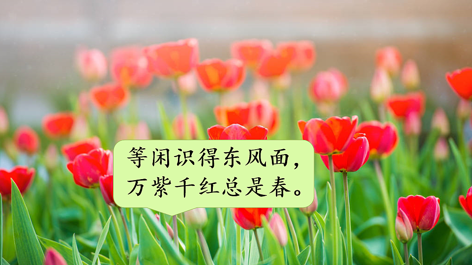 18221696第5页
