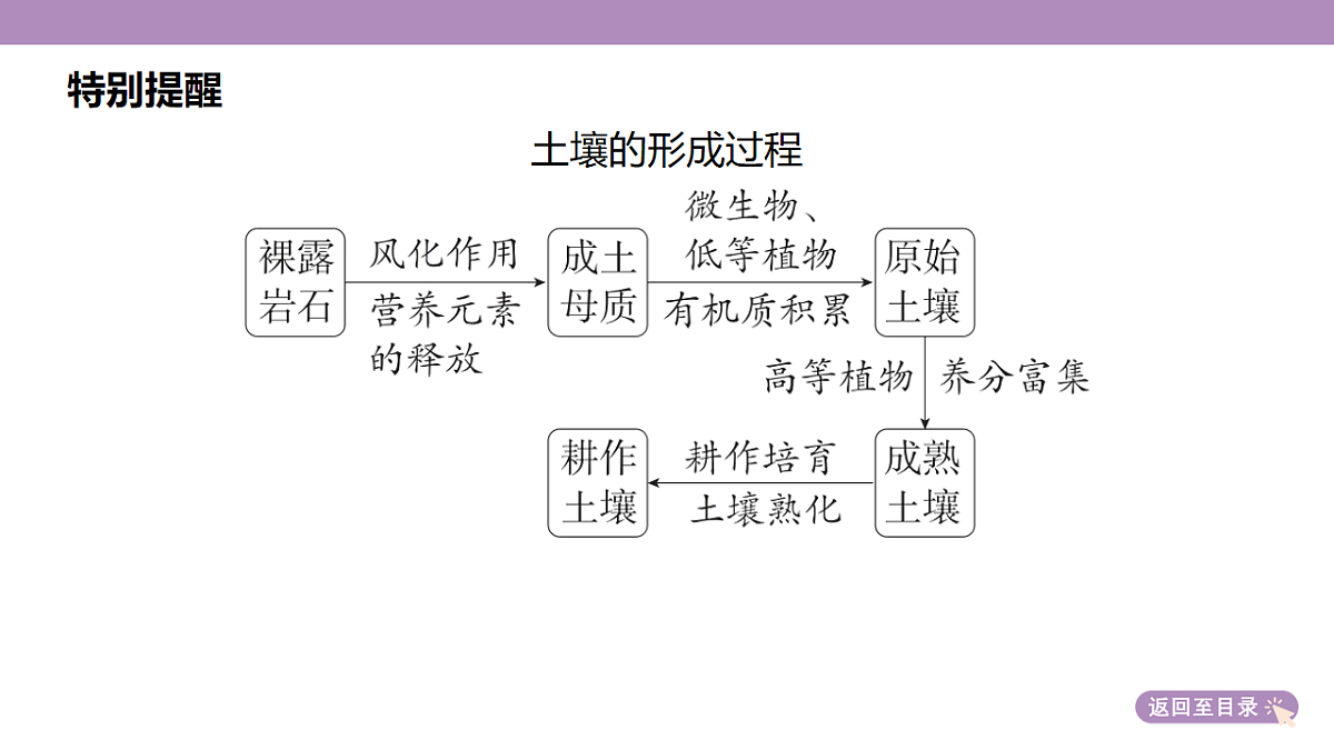 18222191第8页