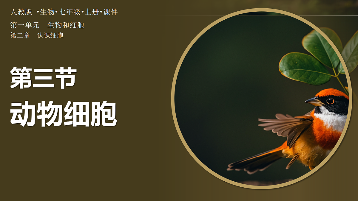 18222297第1页