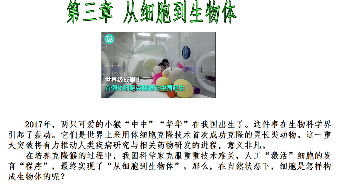 18222299第1页